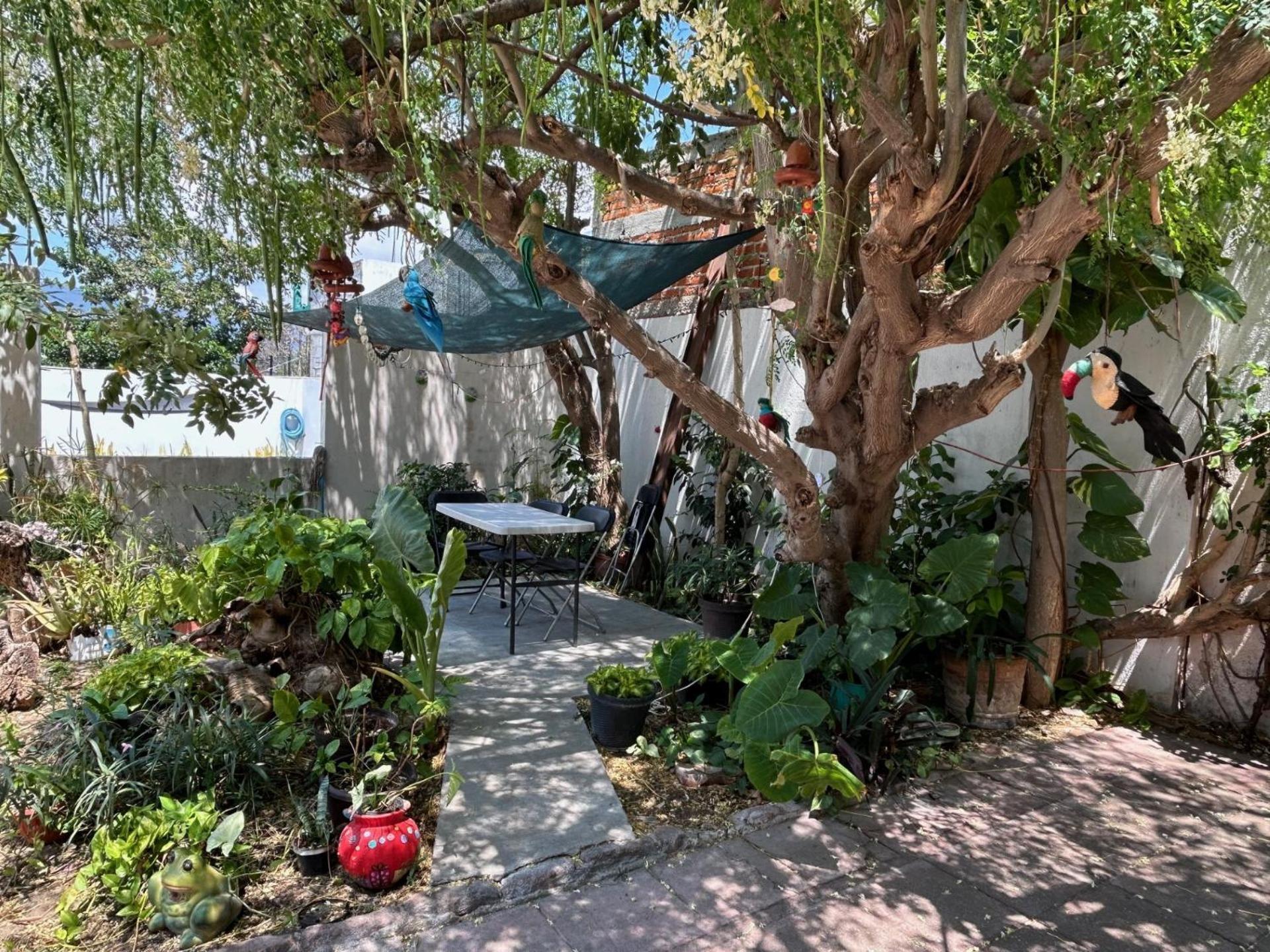 Hotel Villa Esmeralda Tuxtla Gutierrez Ngoại thất bức ảnh